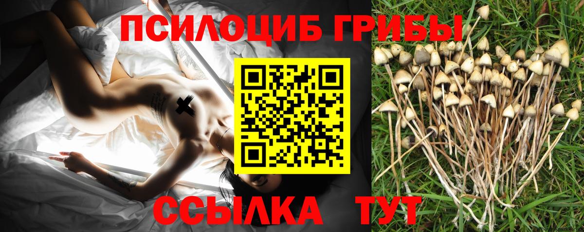 Псилоцибиновые грибы мицелий  Вход с VPN  Рассказово 